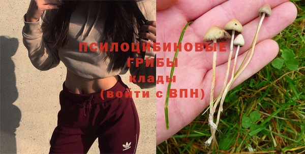 COCAINE Беломорск