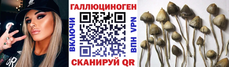 ссылка на мегу вход  Сковородино  Псилоцибиновые грибы прущие грибы 